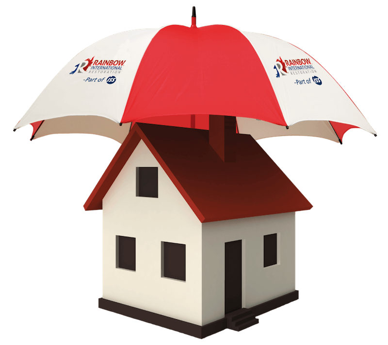 What Is A Loss Adjustor And What Do They Do?